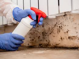 Best Mold Documentation for Insurance Claims  in Middletown, MD